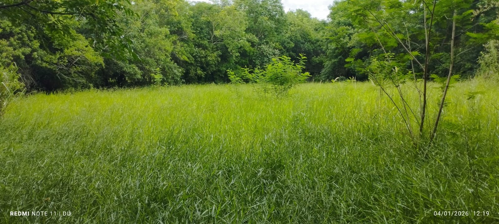 CHÁCARA À VENDA - Foto 2