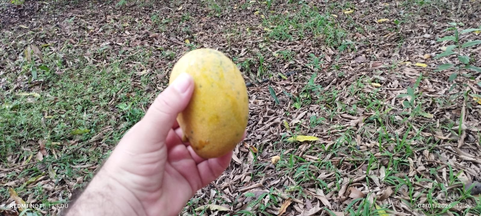 CHÁCARA À VENDA - Foto 4