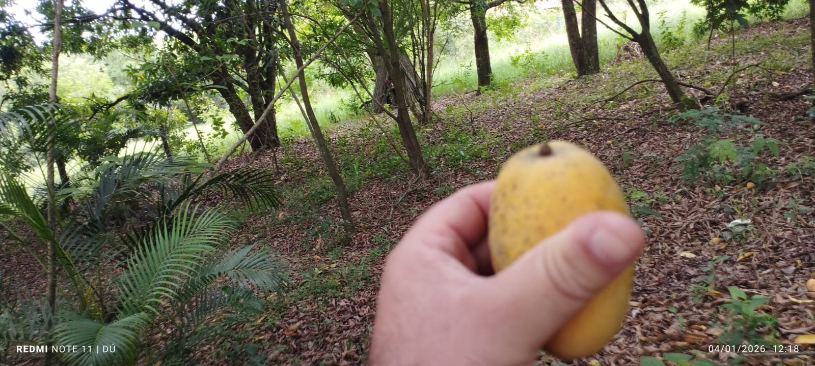 CHÁCARA À VENDA - Foto 5