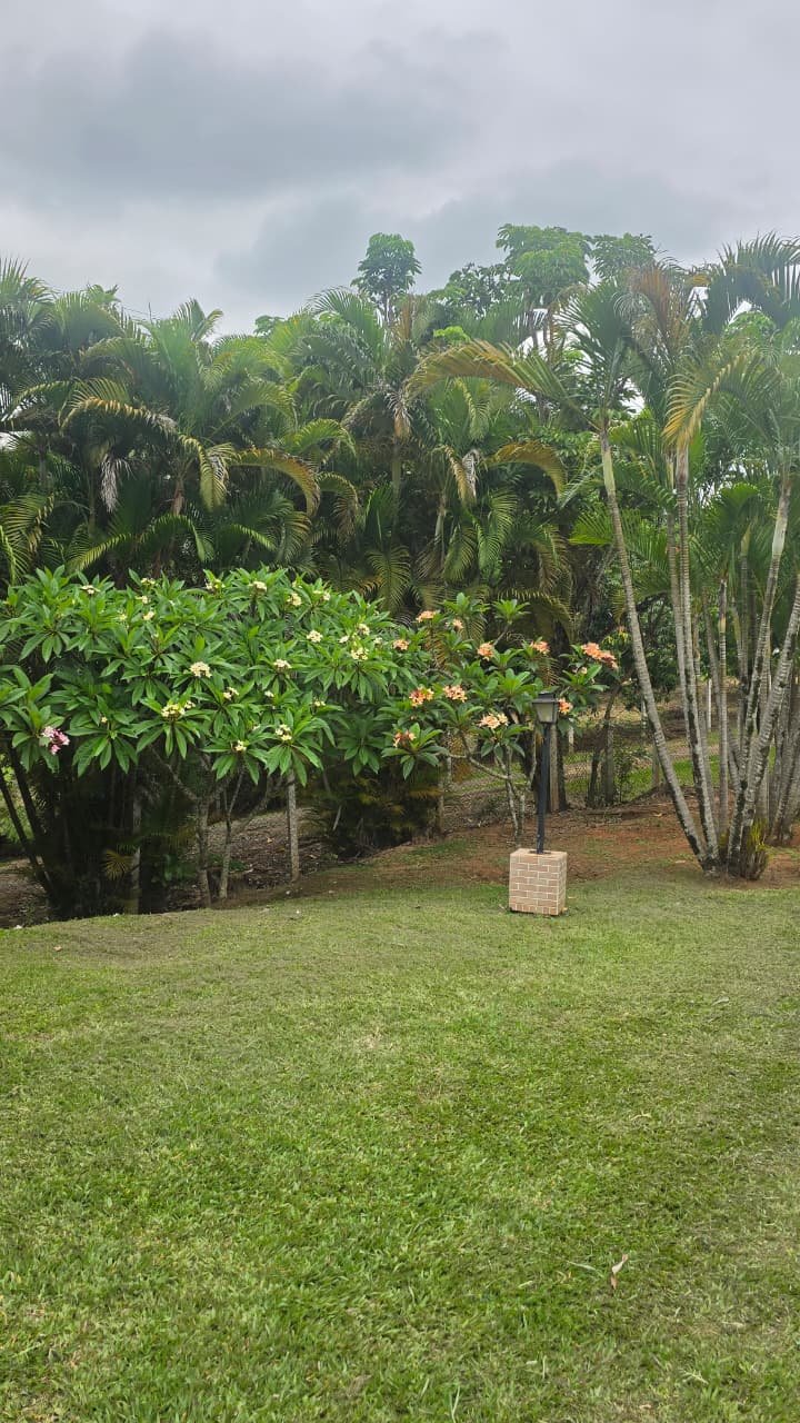 CHÁCARA À VENDA - Foto 4